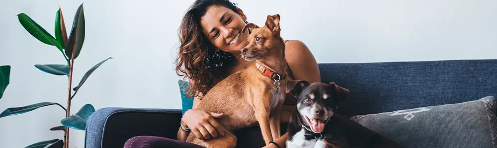 Campaña Solidaria Pet Lovers