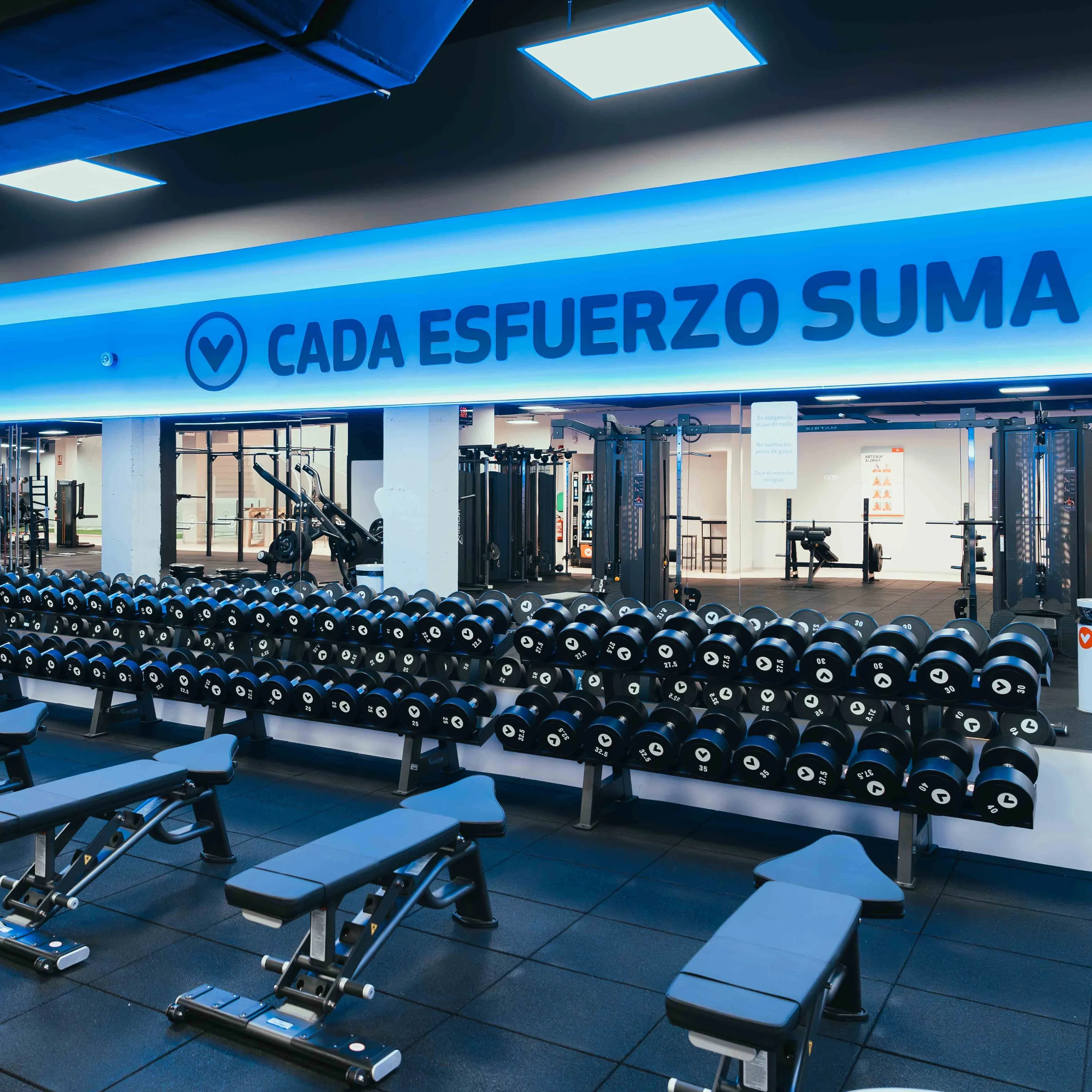 fuerza salesianos