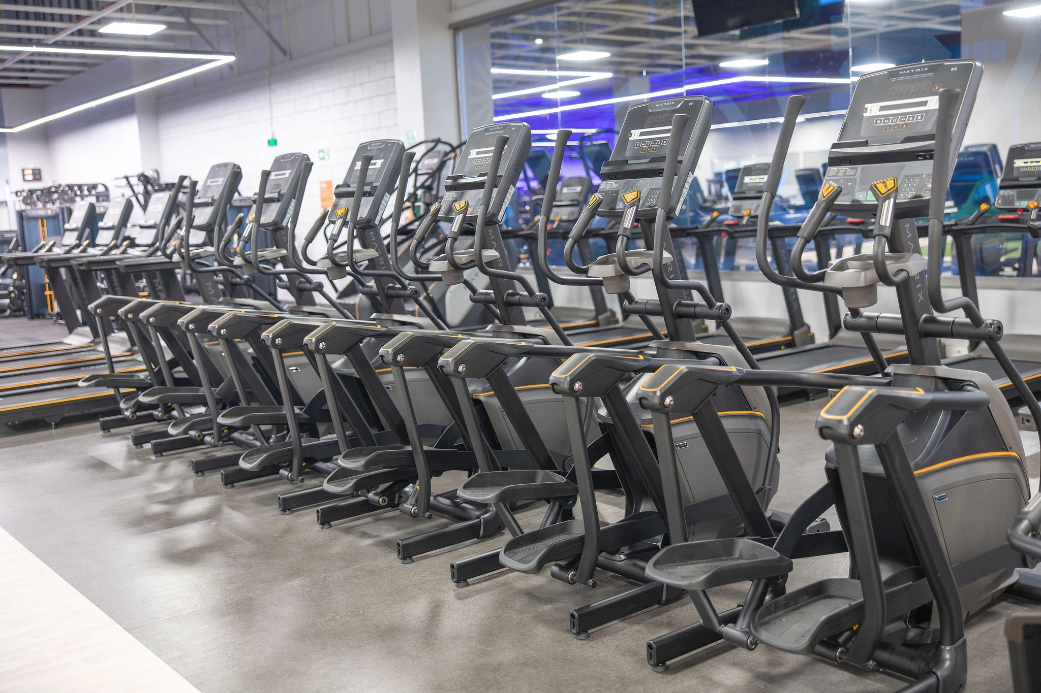 cardio a grela